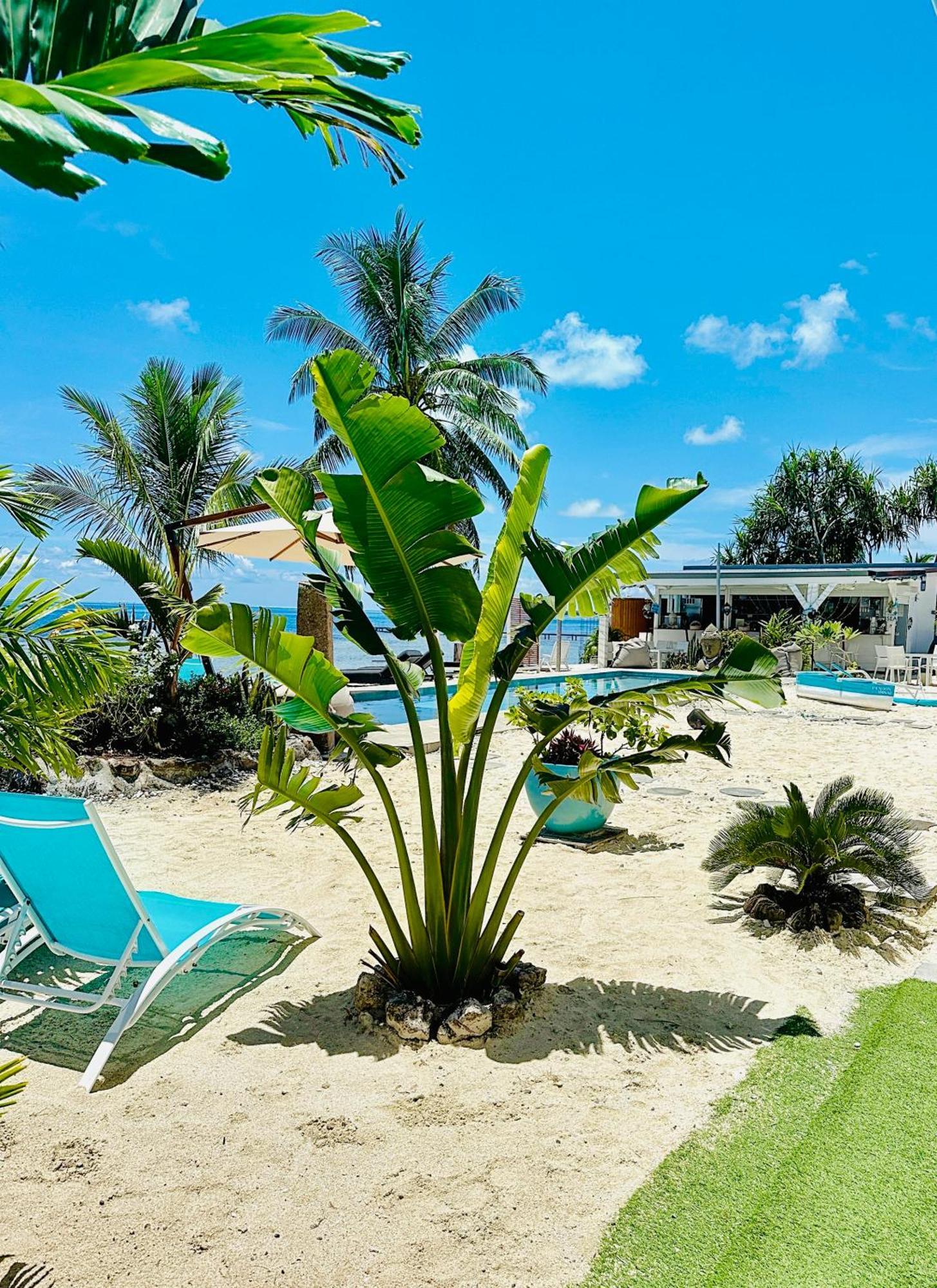 Pension Irivai, Appartement Rava 1 Chambre Bord De Mer Uturoa Zewnętrze zdjęcie